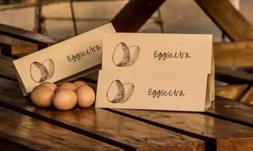 创意鸡蛋包装盒设计,突破传统装蛋盒的界限 异形盒